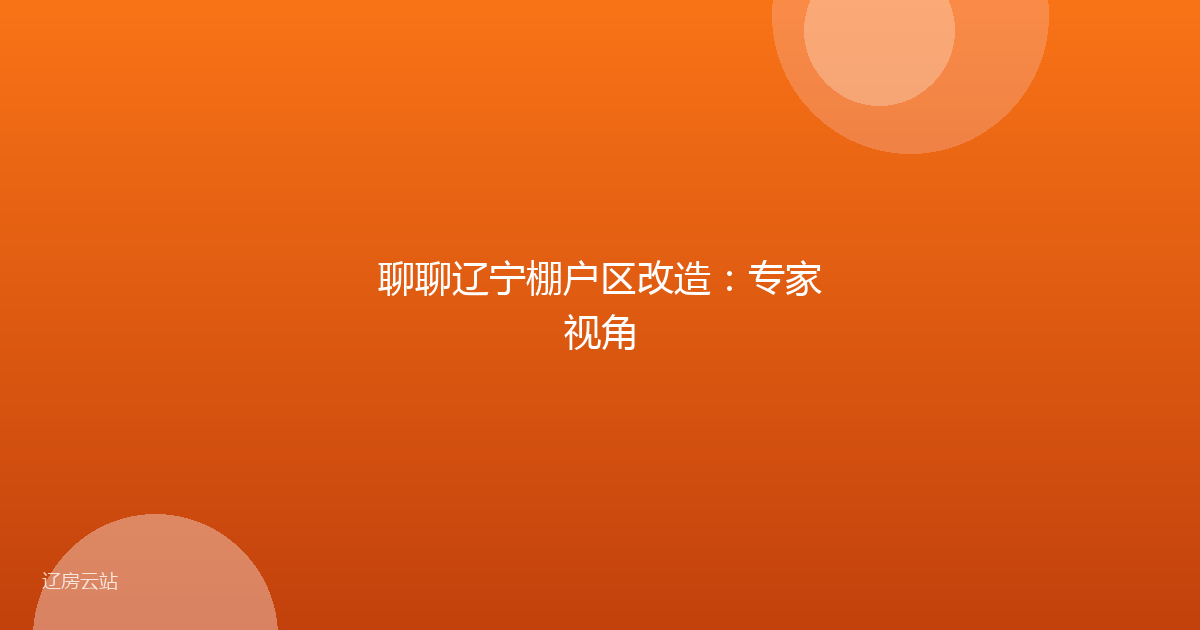 聊聊辽宁棚户区改造：专家视角
